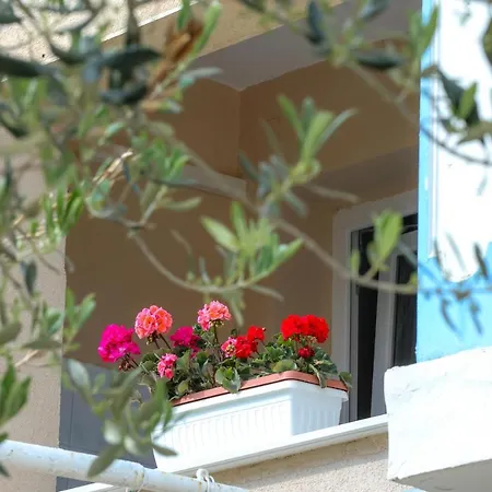 Apartman Apartments Nin *